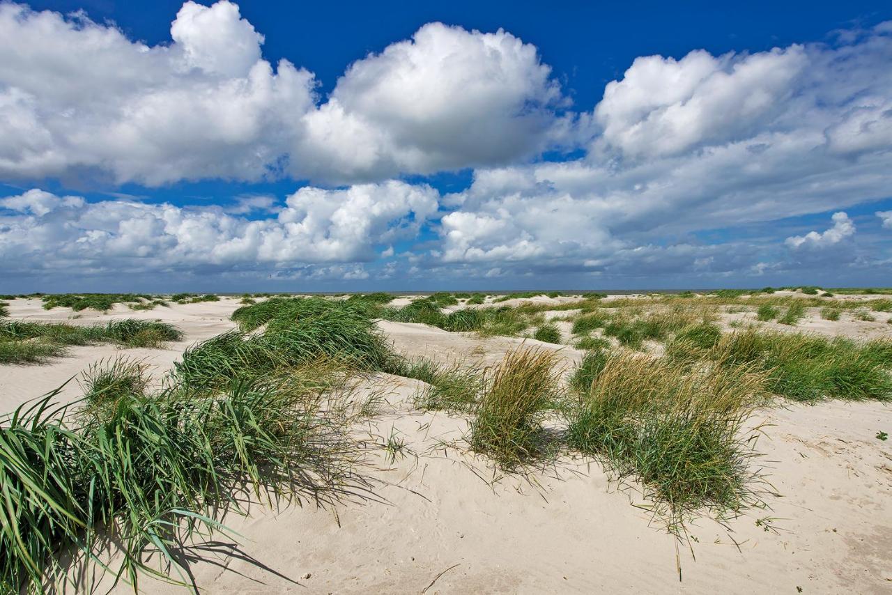 Appartement Duinzee Texel เดอ คุก ภายนอก รูปภาพ