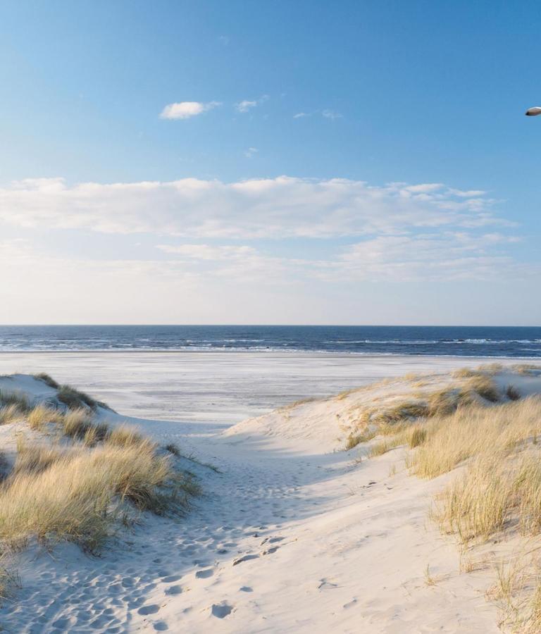 Appartement Duinzee Texel เดอ คุก ภายนอก รูปภาพ